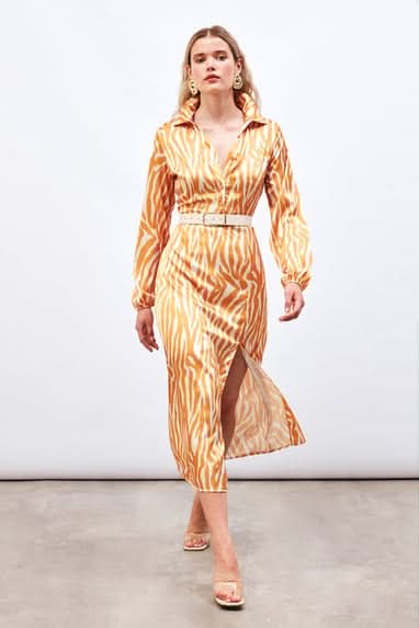 Prism Shirt Dress