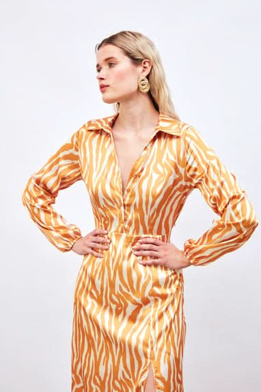 Prism Shirt Dress